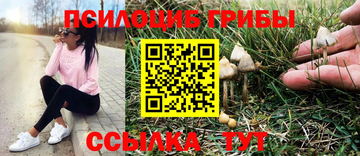 Сафоново  Галлюциногенные грибы ЛСД  Вход с VPN 