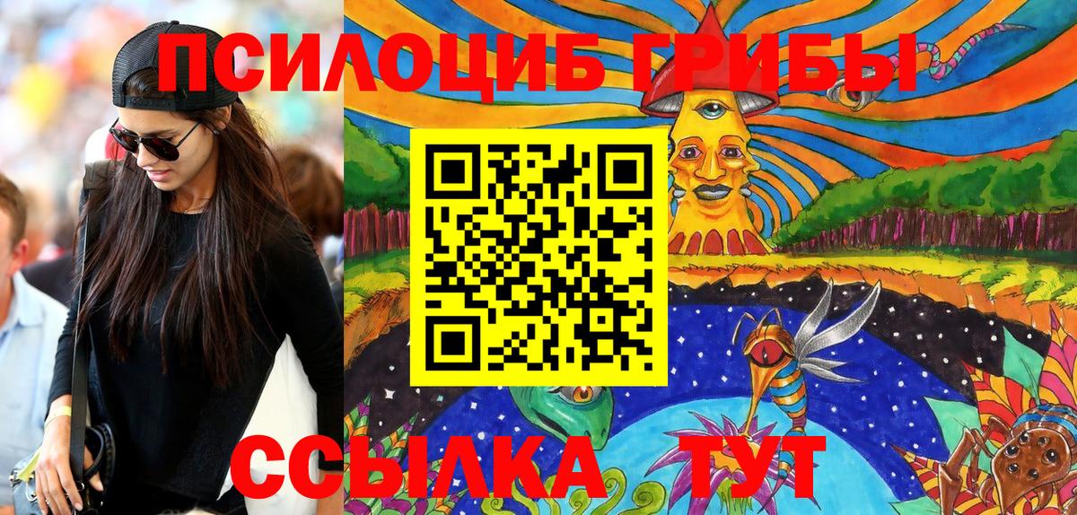 Галлюциногенные грибы Psilocybe Сафоново